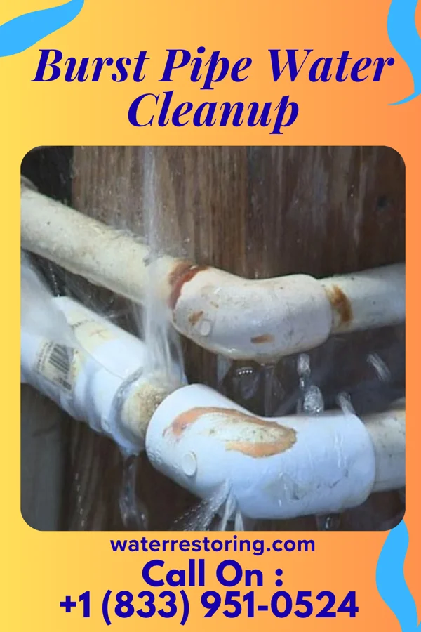 Burst Pipe Water Cleanup in Doyle, TN