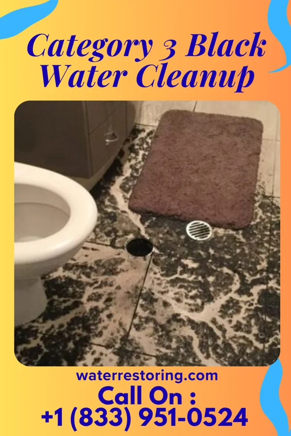 Category 3 Black Water Cleanup in Doyle, TN