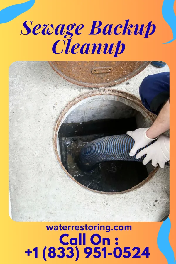 Sewage Backup Cleanup in Doyle, TN