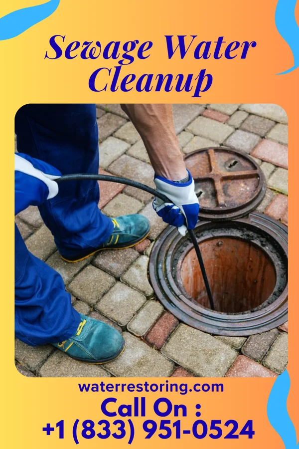 Sewage Water Cleanup in Doyle, TN