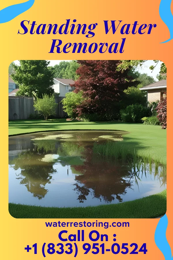 Standing Water Removal in Doyle, TN